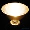 Philips 53w 120v PAR30 FL25 2900K EcoVantage E26 Halogen Light Bulb